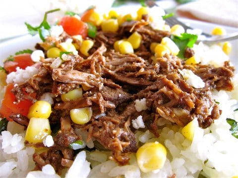 Barbacoa Beef